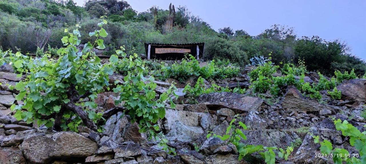 Villa Viña Cazoga Sober Exterior foto